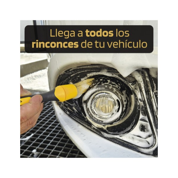 Set de Pinceles Detailing Billionaire Ideal para Limpieza Coche Kit Detailing de 3 Pinceles Limpieza de Detalle
